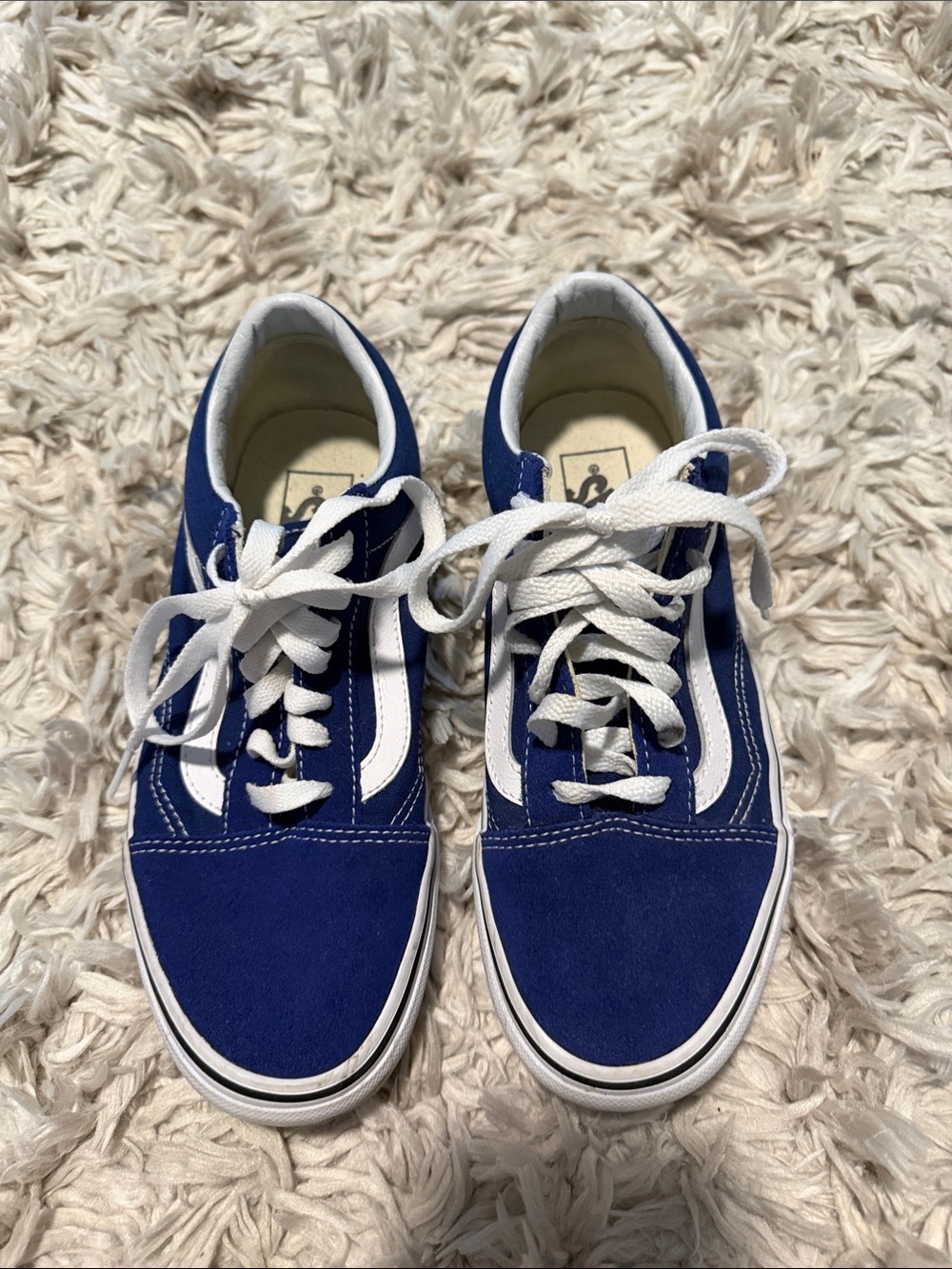 Vans Classic Blue Skate Sneakers with White Stripe